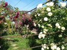 20160601_085621