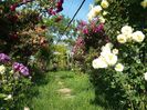 20160601_085549
