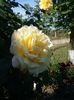 20160601_085230