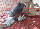 DSCN0968
