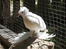 DSCN0973