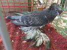 DSCN0970