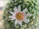 DSCN6557