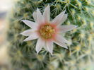 DSCN6559