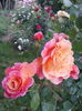 20160531_195147