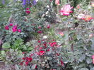 20160531_200056