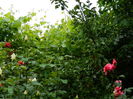 DSCN0054