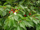 DSCN0055