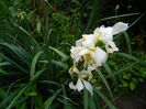 DSCN0056