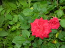 DSCN0057