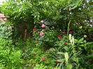DSCN0058
