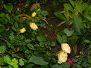 DSCN0066
