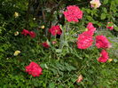 DSCN0070