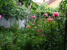 DSCN0071