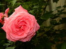 DSCN0072