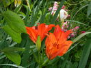 DSCN0080