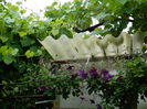 DSCN0087