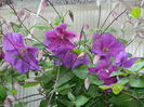 DSCN0089