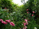 DSCN0092