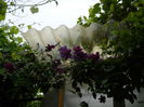 DSCN0093
