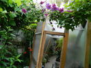 DSCN0095