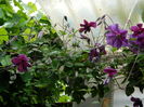DSCN0097