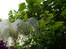 DSCN0098