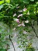 DSCN0116