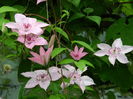 DSCN0117