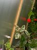 DSCN0119
