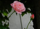 DSCN0121