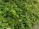 DSCN0124
