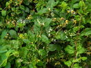 DSCN0126