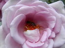 DSCN0160