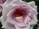 DSCN0161