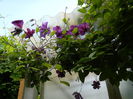 DSCN0162