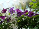 DSCN0163