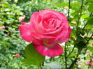 DSCN0165