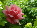 DSCN0167