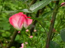 DSCN0169