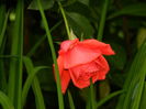 DSCN0175