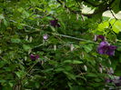 DSCN0176