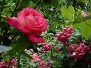 DSCN0178