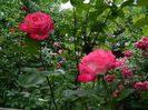 DSCN0180