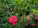 DSCN0181