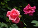 DSCN0182