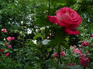 DSCN0184