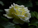 DSCN0193