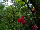 DSCN0198