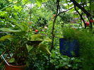 DSCN9966